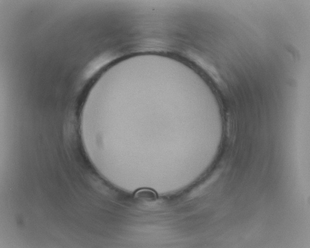 X0000115031453200911231102