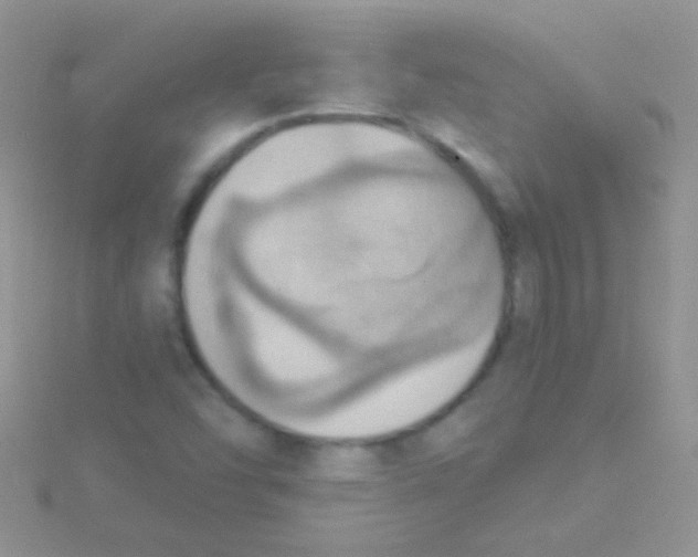 X0000115031454200911231102