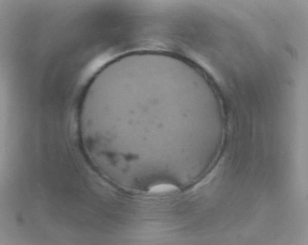 X0000115031455200911231102