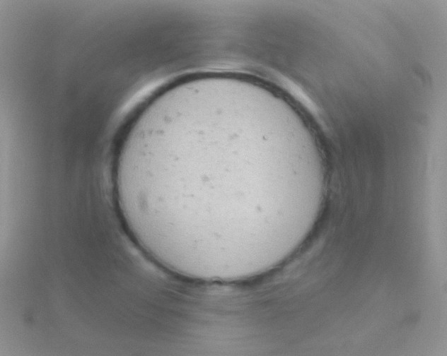 X0000115031456200911231102