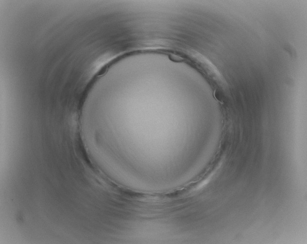 X0000115031457200911231102