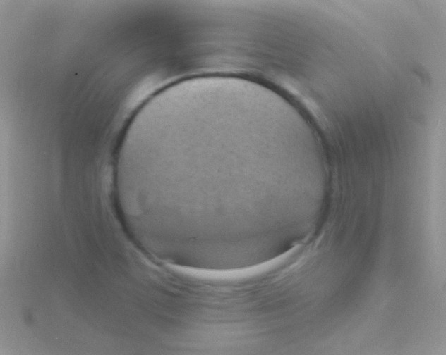 X0000115031459200911231102