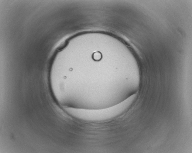 X0000115031460200911231102