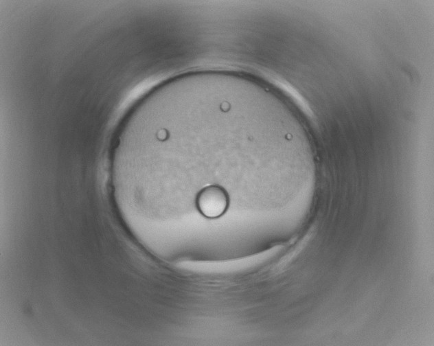 X0000115031461200911231102