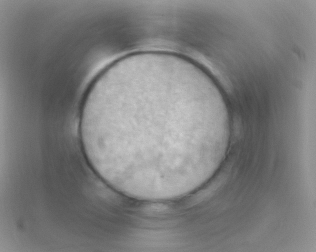 X0000115031462200911231102