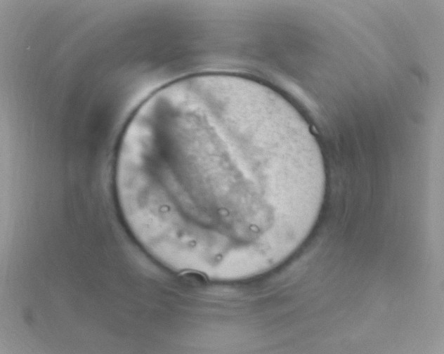 X0000115031463200911231102