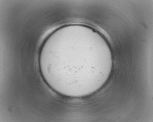 X0000115031464200911231102