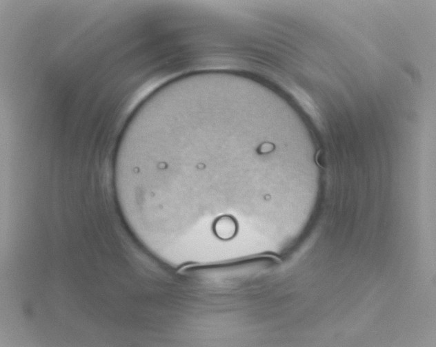 X0000115031465200911231102