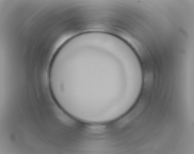 X0000115031466200911231102