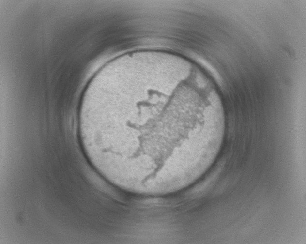 X0000115031467200911231102