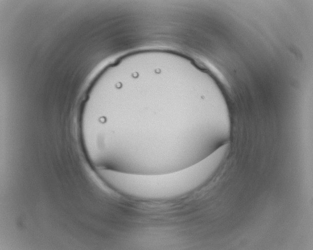 X0000115031468200911231102