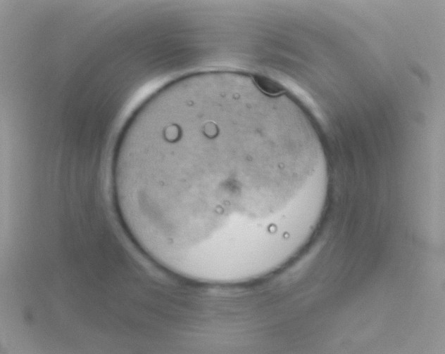 X0000115031469200911231102