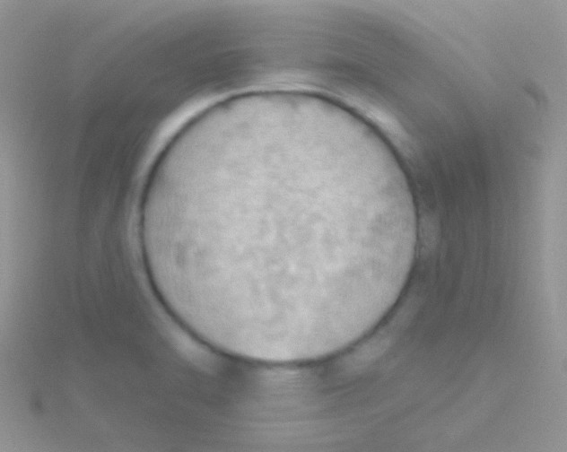 X0000115031470200911231102