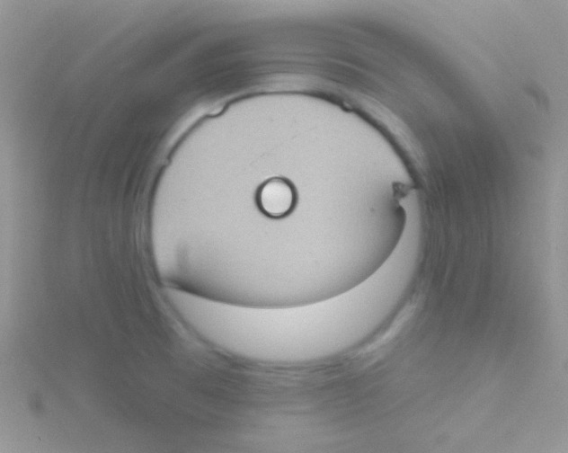 X0000115031473200911231102