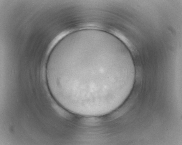 X0000115031474200911231102