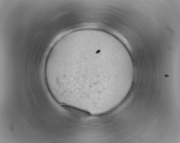 X0000115031475200911231102