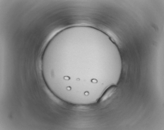 X0000115031476200911231102