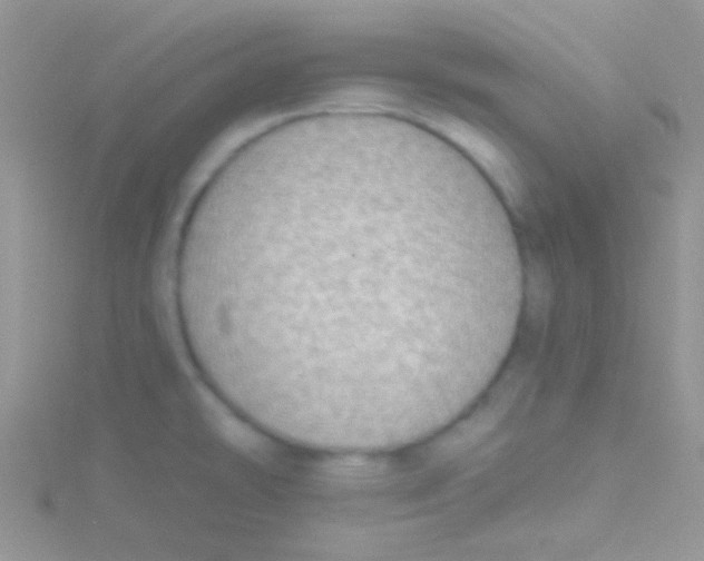 X0000115031478200911231102