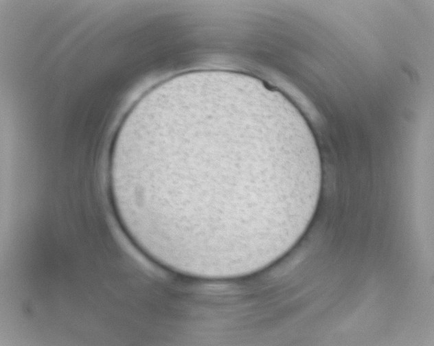 X0000115031479200911231102