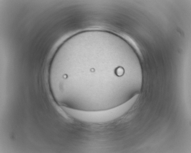 X0000115031480200911231102