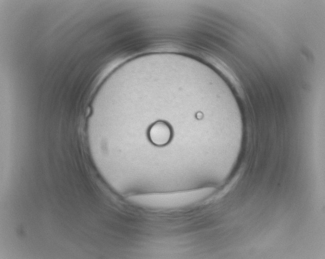 X0000115031481200911231102