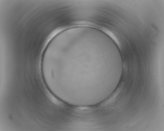 X0000115031482200911231102