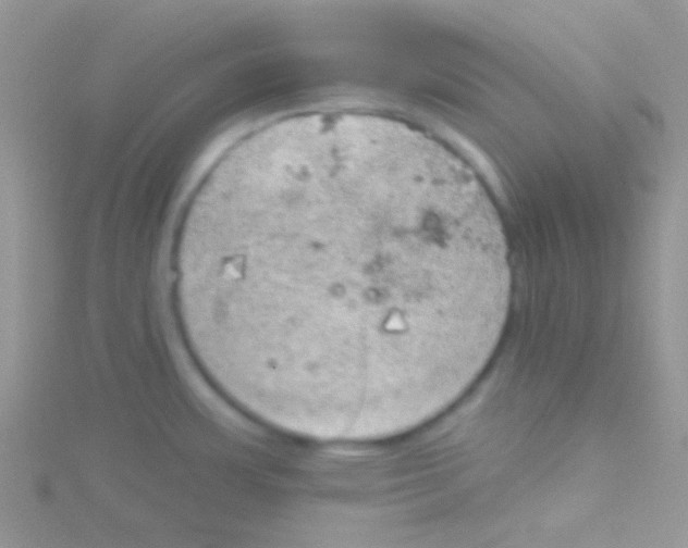 X0000115031483200911231102