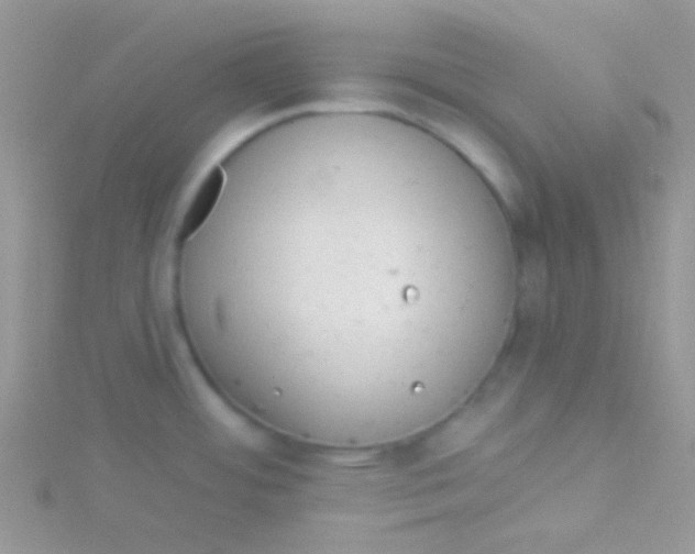 X0000115031484200911231102