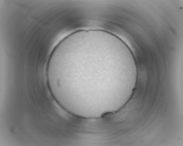 X0000115031485200911231102