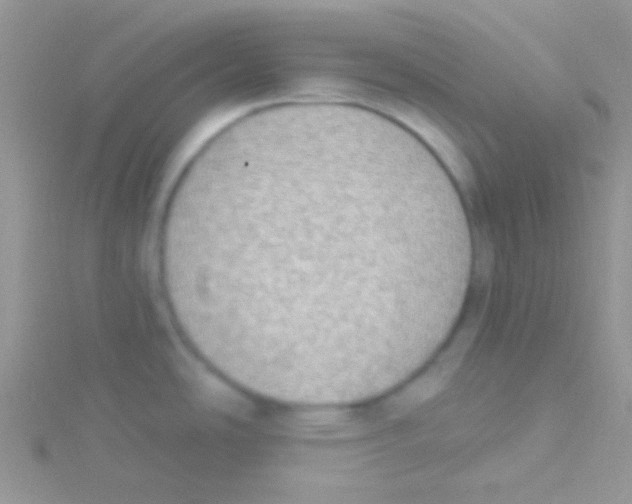 X0000115031486200911231102