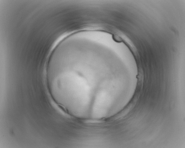 X0000115031487200911231102