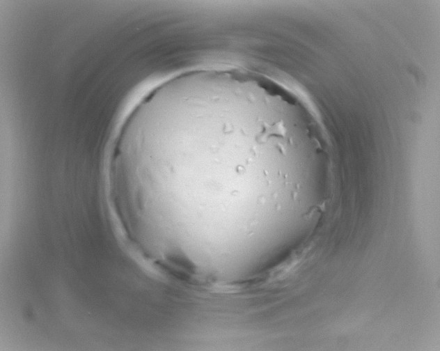 X0000115031488200911231102