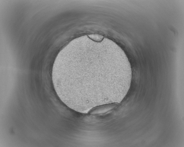 X0000115031489200911231101