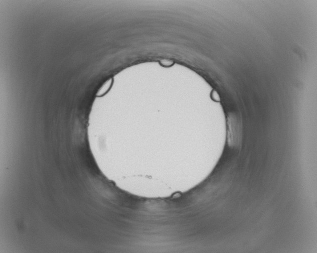 X0000115031491200911231101