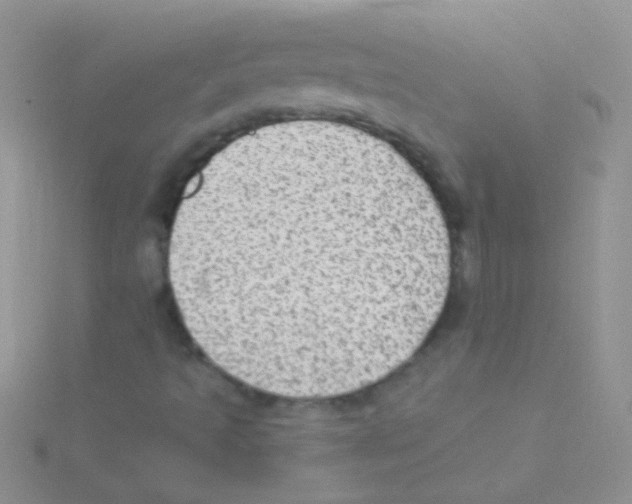 X0000115031493200911231101