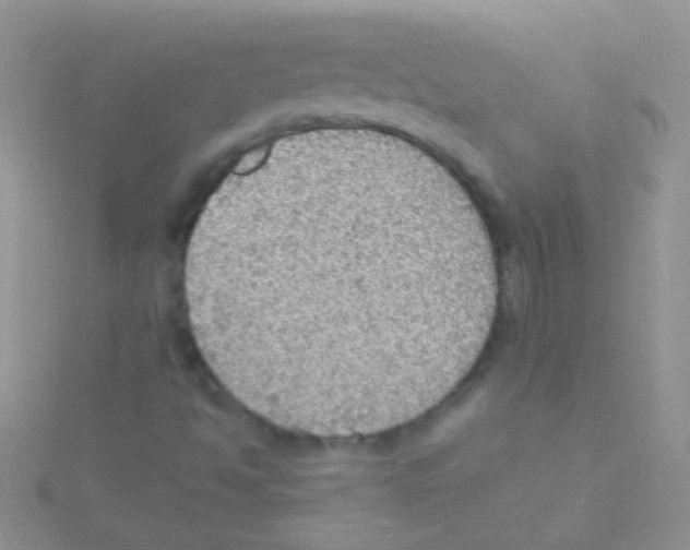 X0000115031494200911231101