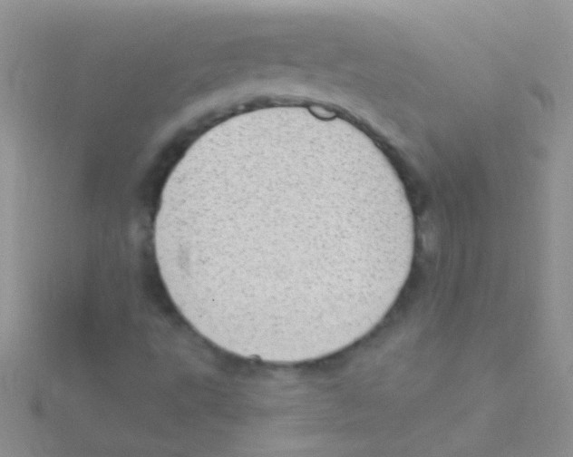 X0000115031495200911231101