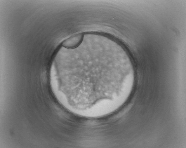 X0000115031497200911231101