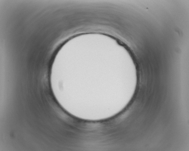 X0000115031498200911231101