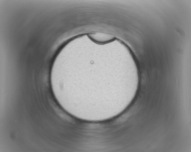 X0000115031499200911231101