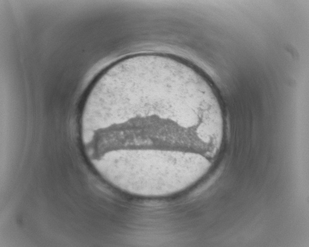 X0000115031501200911231101