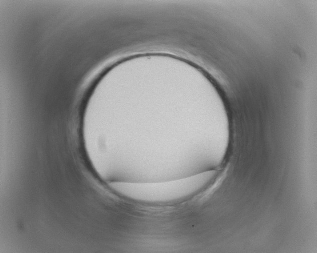 X0000115031502200911231101