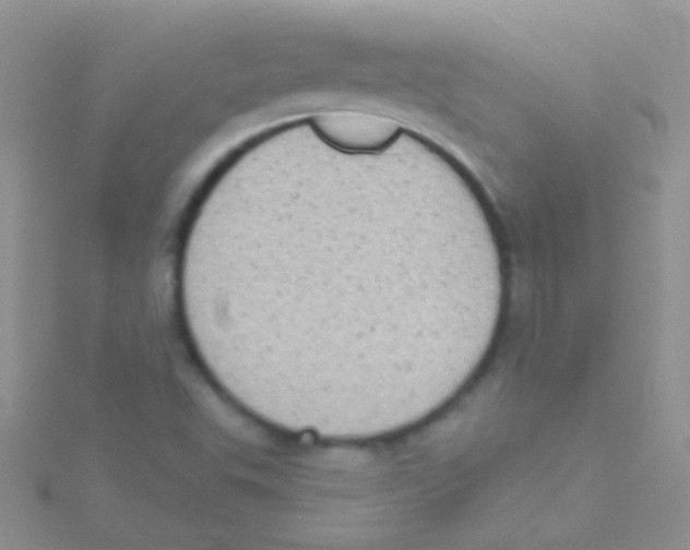 X0000115031503200911231101