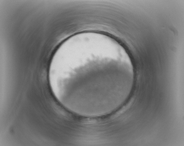 X0000115031505200911231101