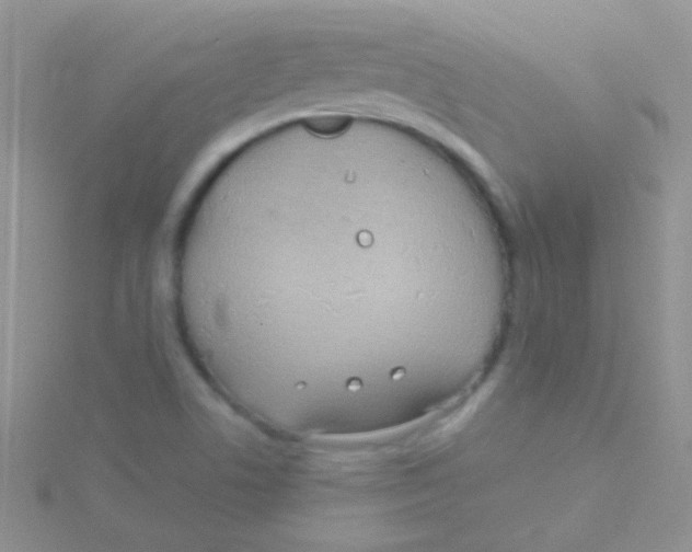 X0000115031506200911231101