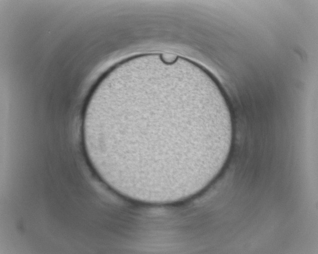 X0000115031507200911231101