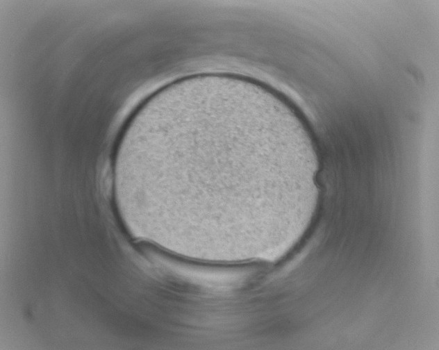 X0000115031509200911231101