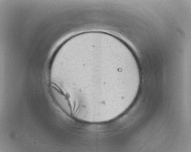 X0000115031510200911231101