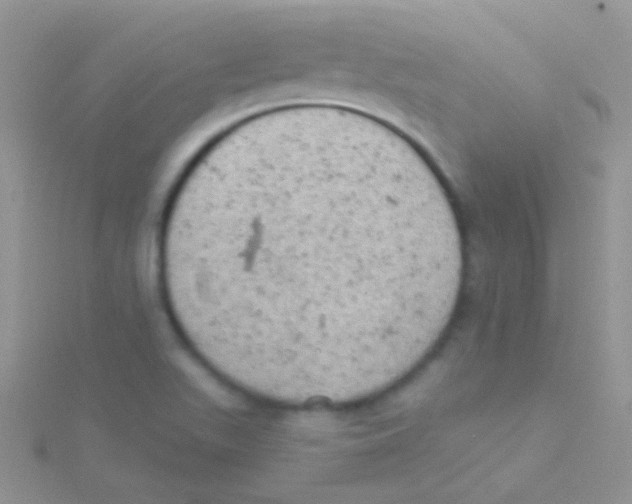 X0000115031511200911231101