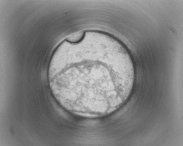 X0000115031513200911231101